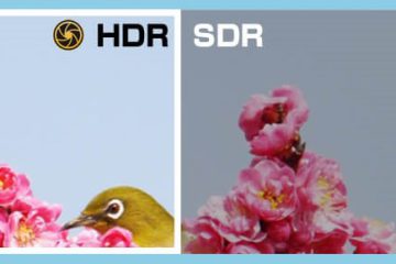 HDRとは？モニターのHDRについて簡単に解説